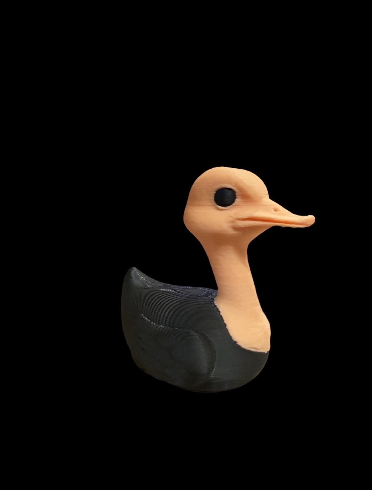 Ostrich Duck – Fast, Feathered, and Fabulous