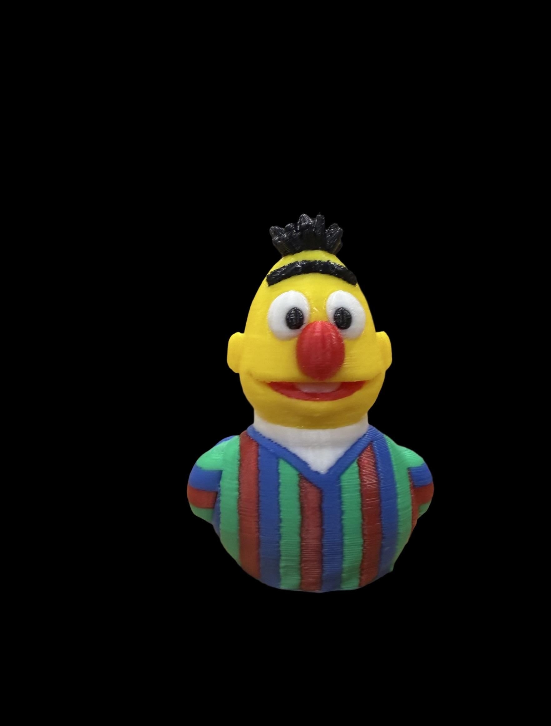 Sir Beaksworth – The Striped Gentleman of Feathers