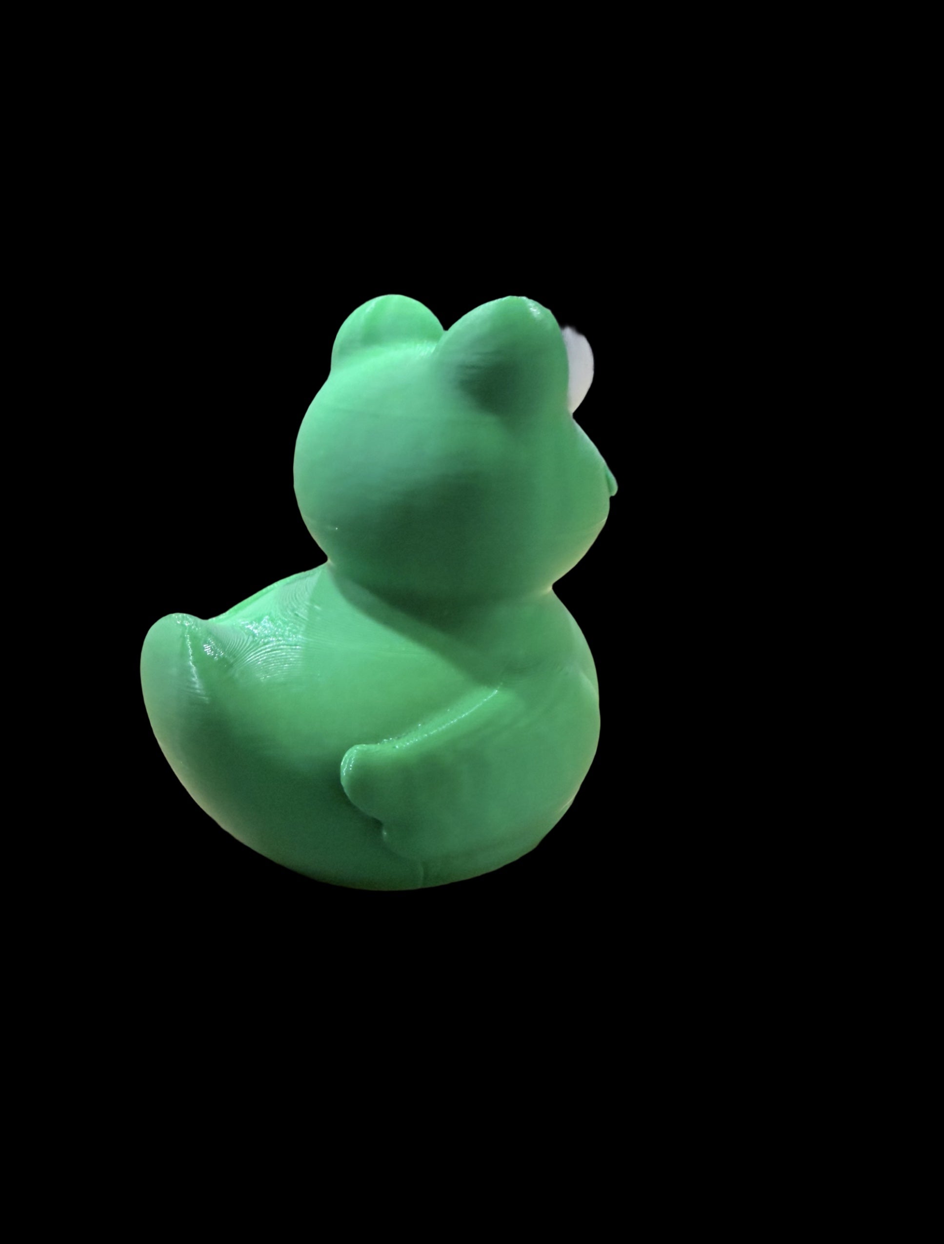 FROG DUCK – COOL AS A POND. CUTE AS CAN BE