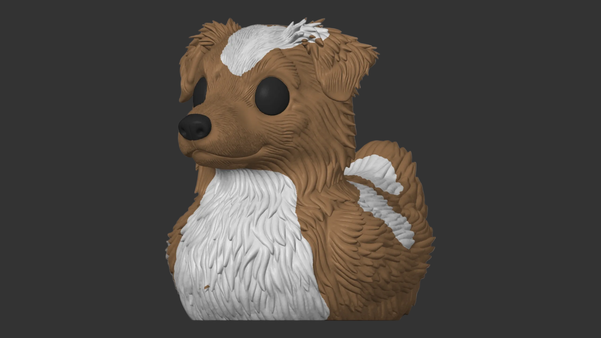 Australian Shepherd