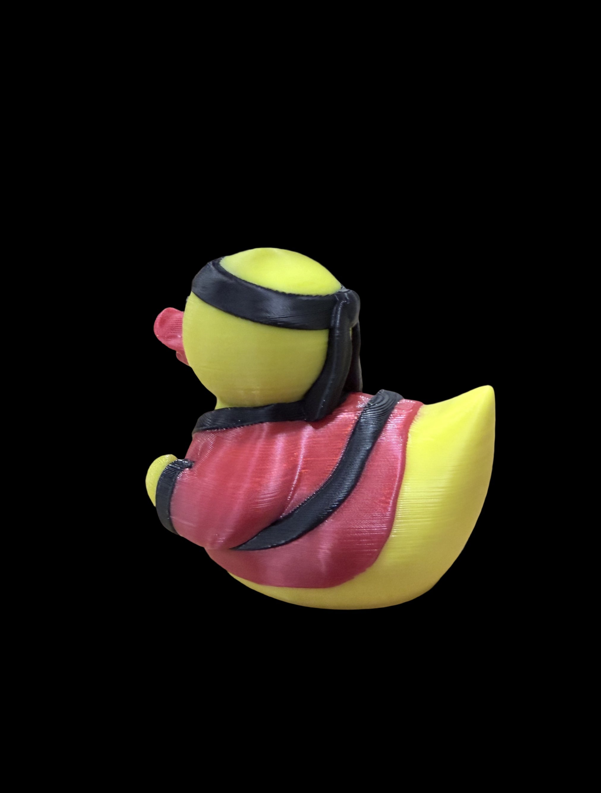 KARATE DUCK – HANDS UP. QUACK FIRST