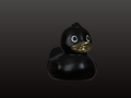 Black & Gold Duck