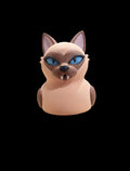 Siamese cat