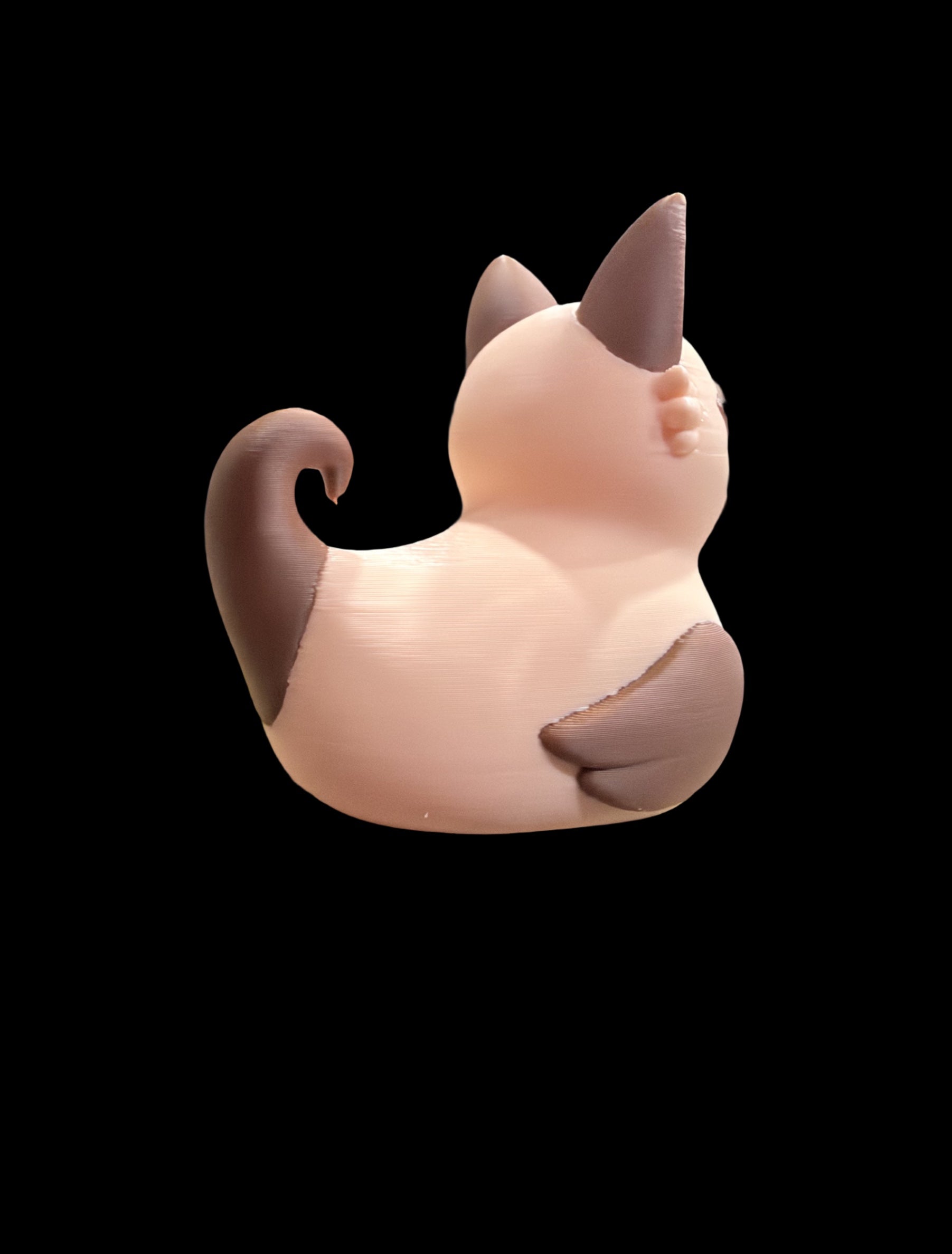 Siamese cat