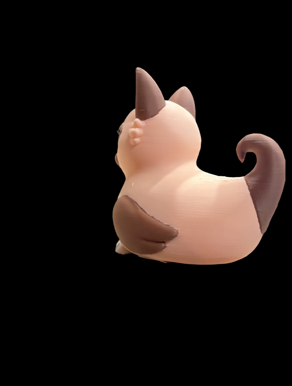Siamese cat