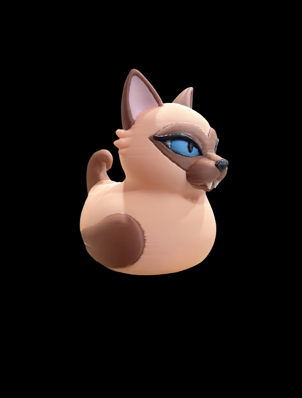 Siamese cat
