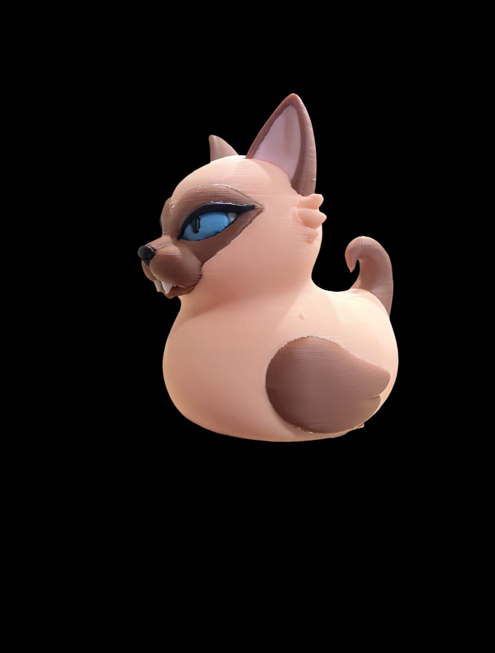 Siamese cat