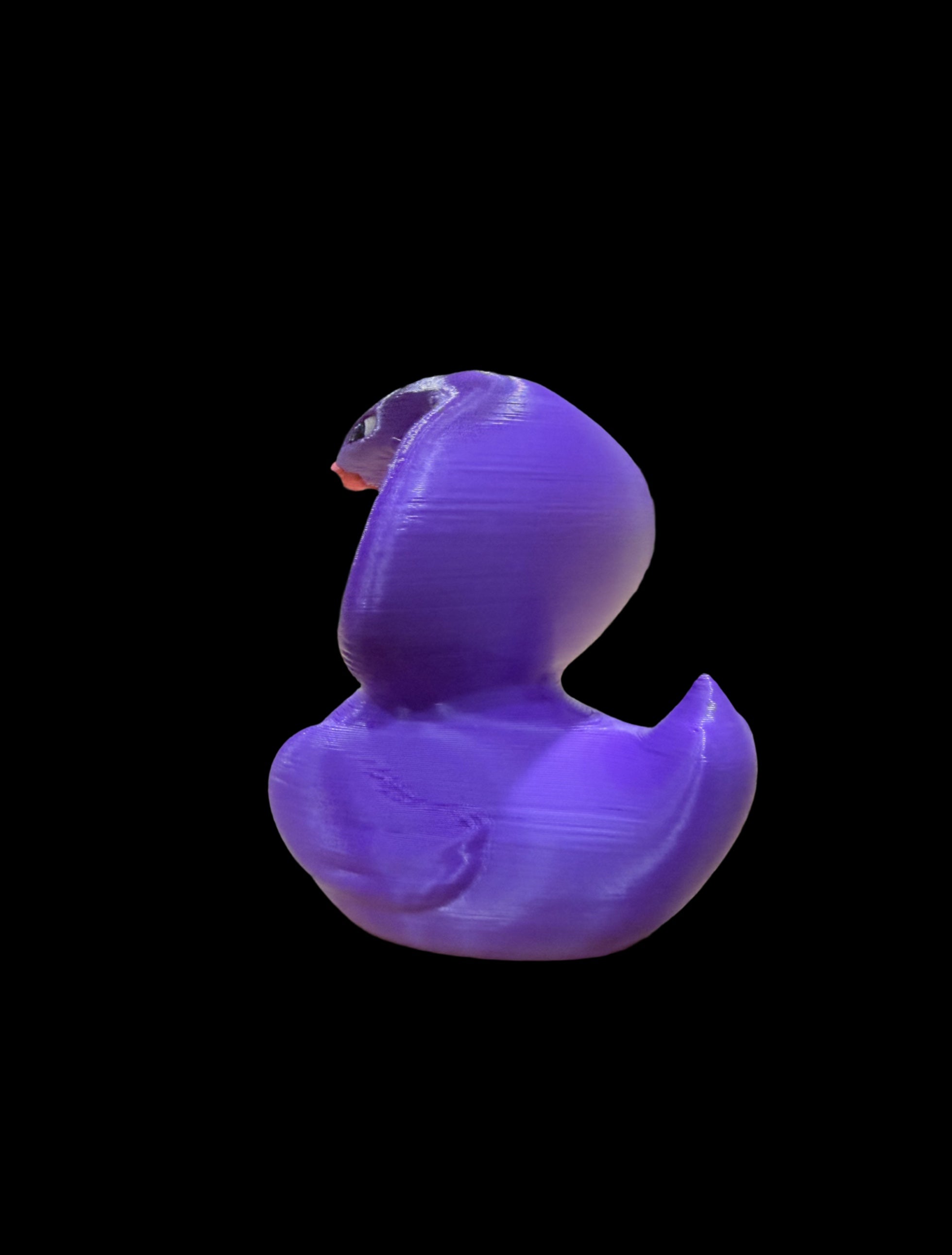 Venomwing – The Serpent-Spirit Duck of Shadows