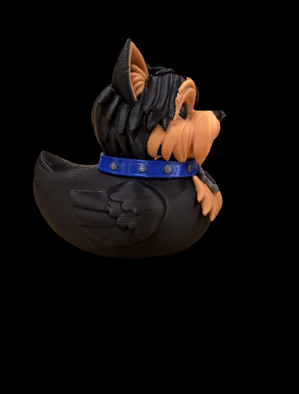 Yorkie
