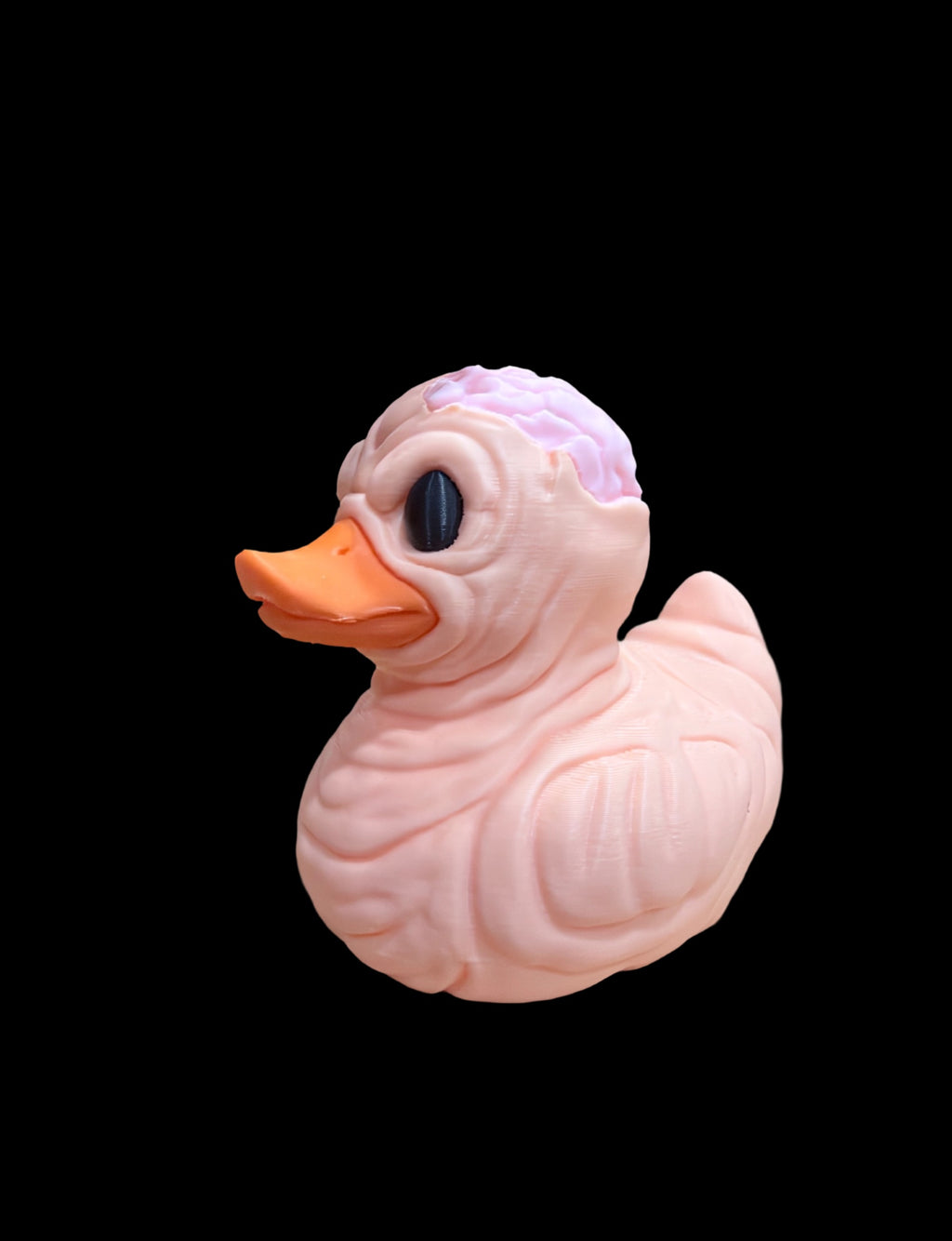 Wrinkly Brains