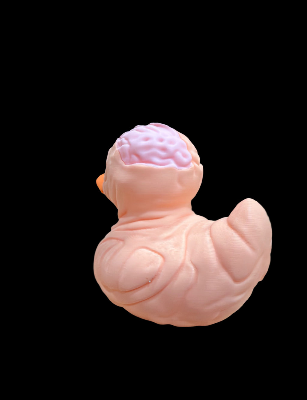 Wrinkly Brains