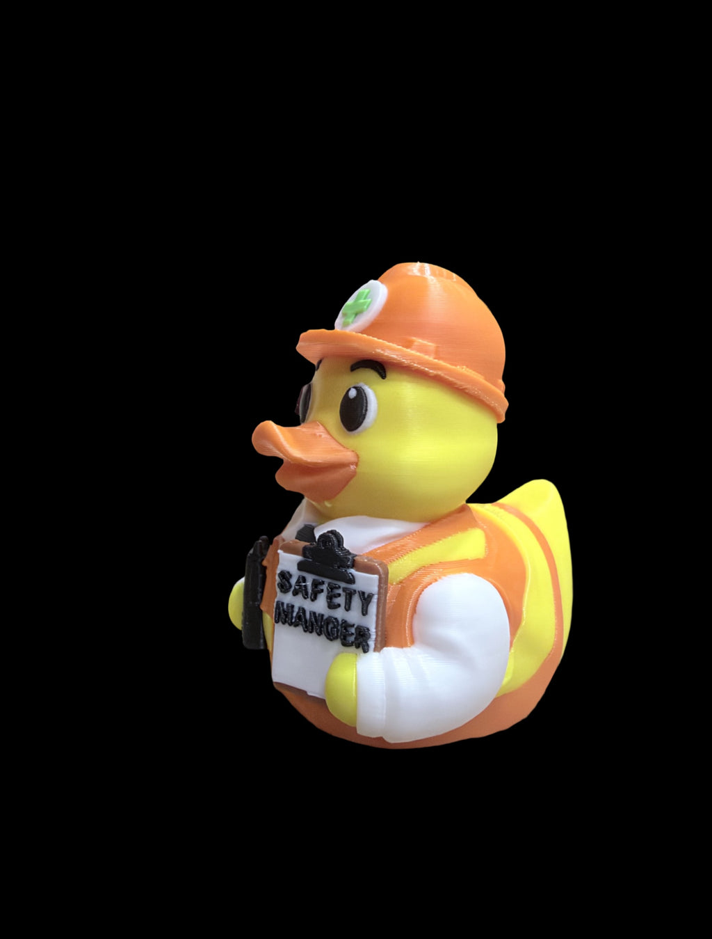 Safety Manager