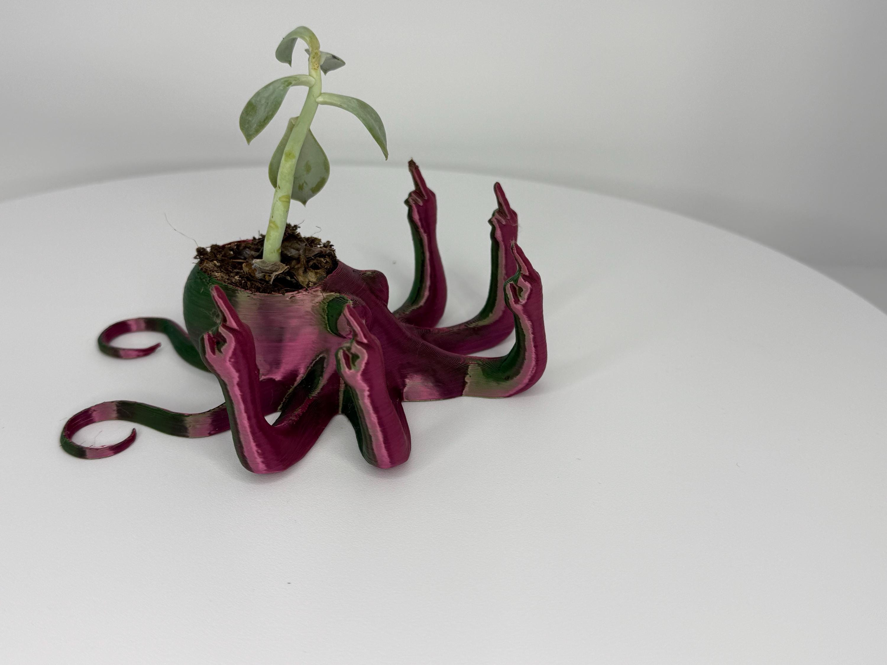 Fucktopus Planter