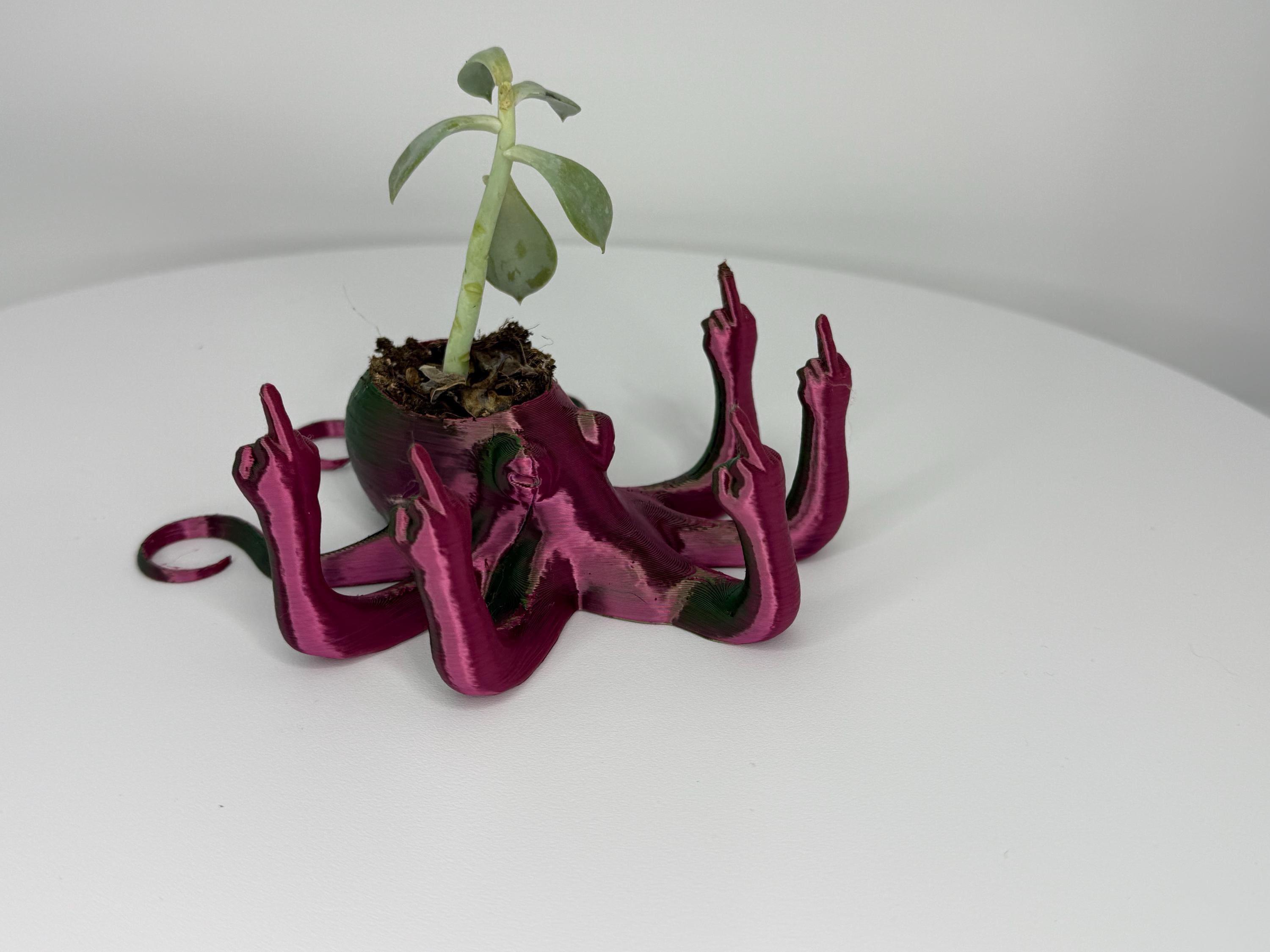 Fucktopus Planter