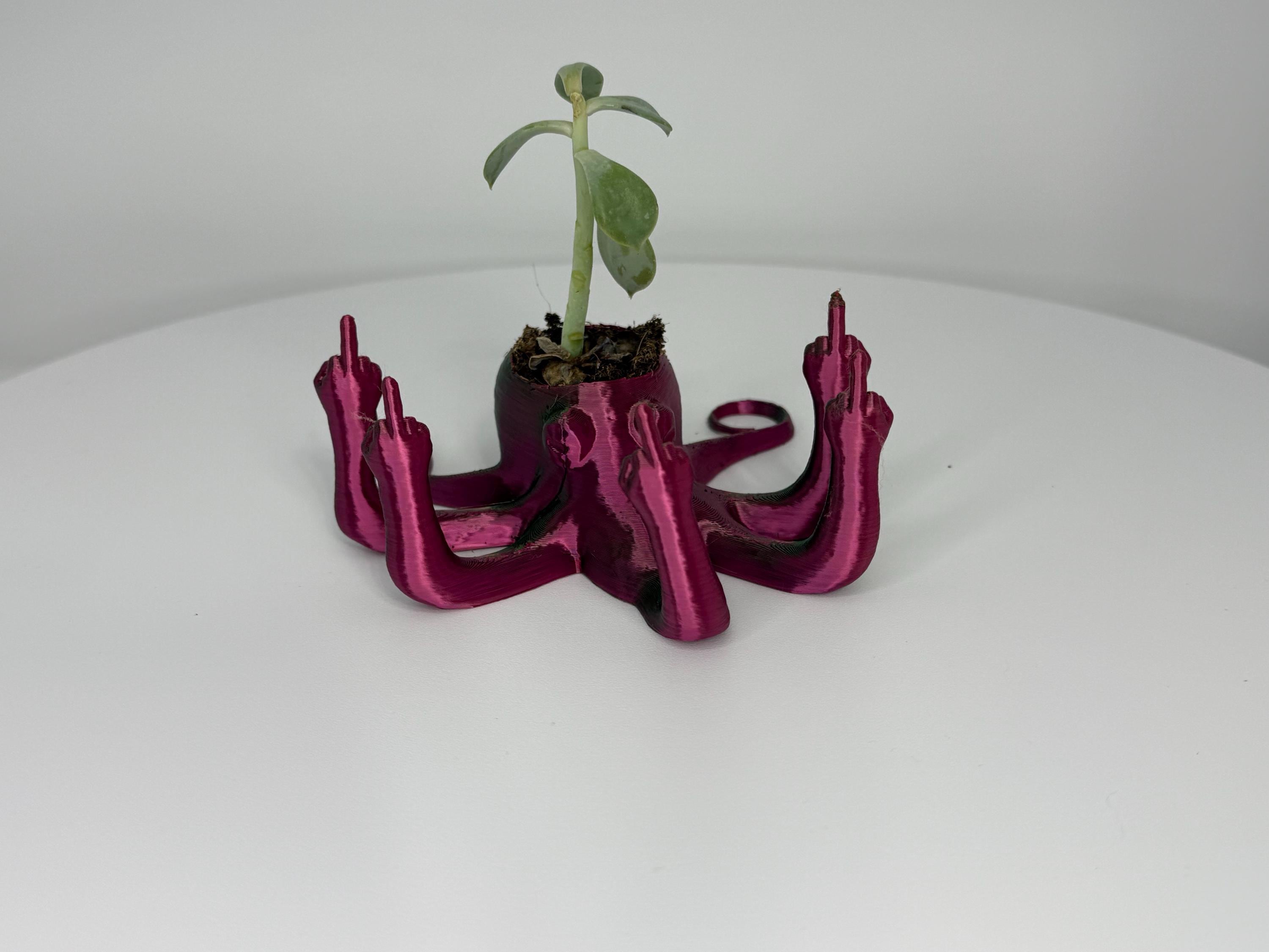 Fucktopus Planter
