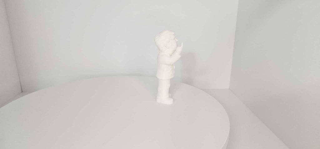 Donald Trump Giving the Finger