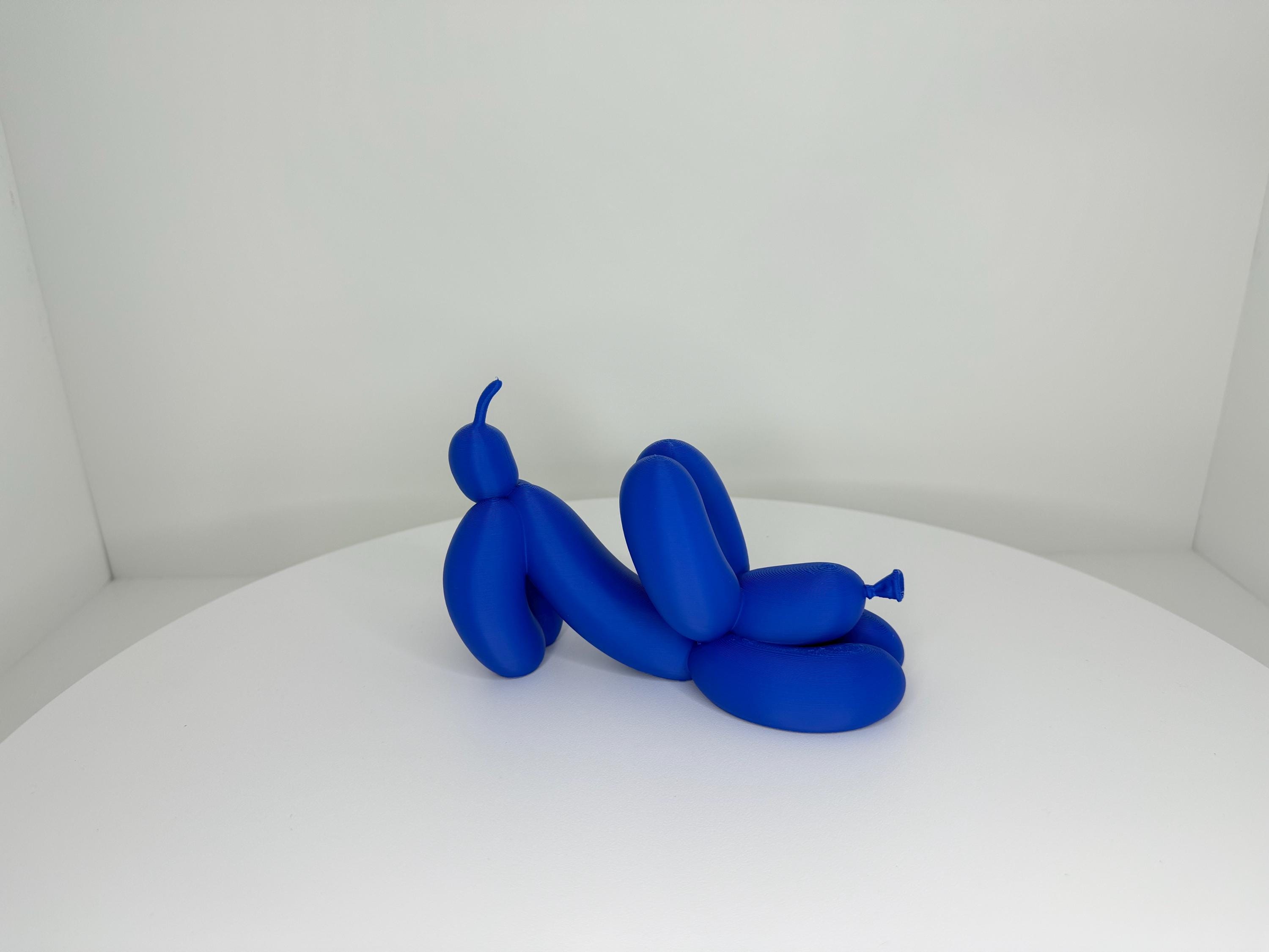 Balloon Dog Downward Dog Pose
