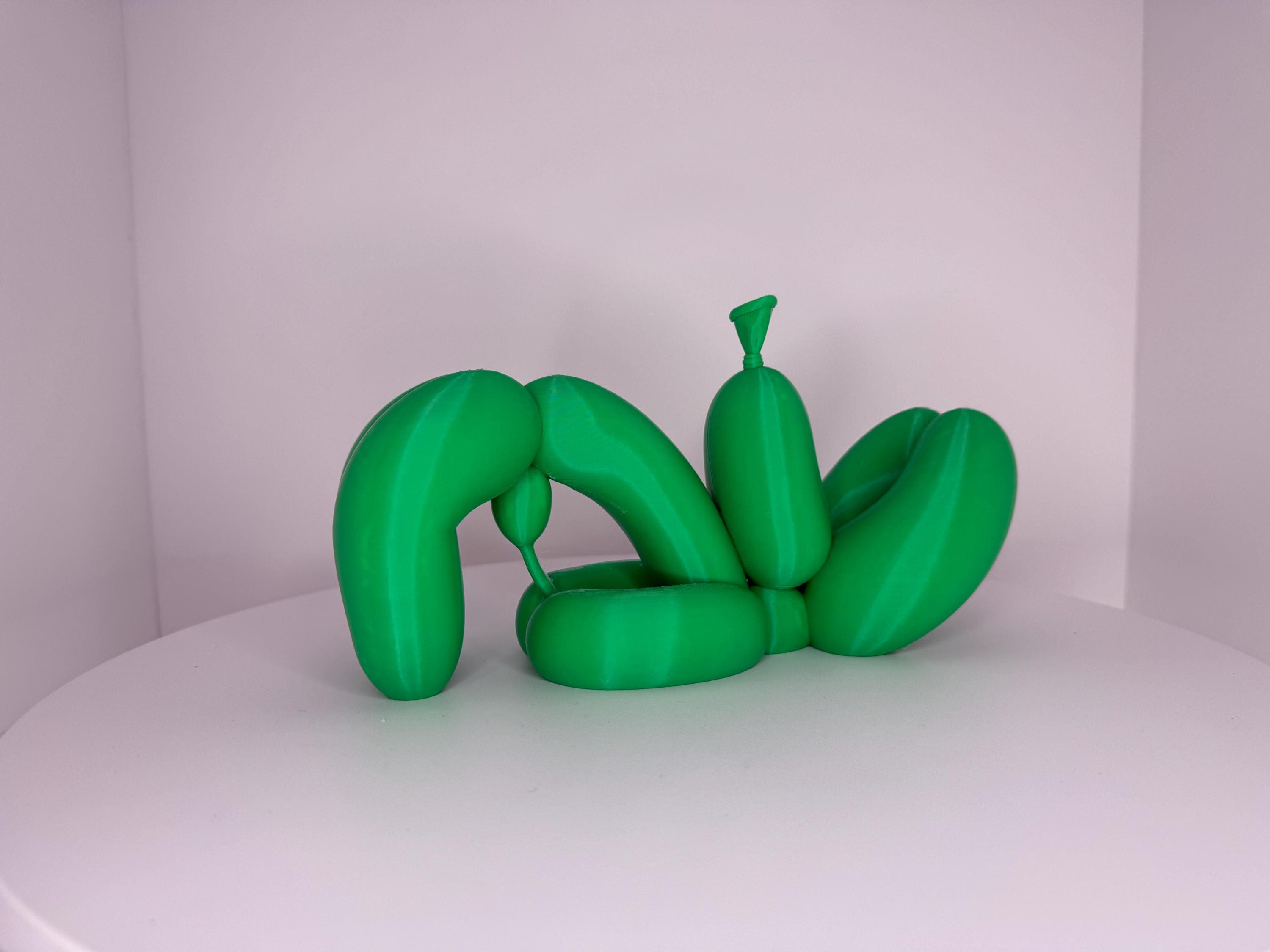 Balloon Dog Yoga Bridge
