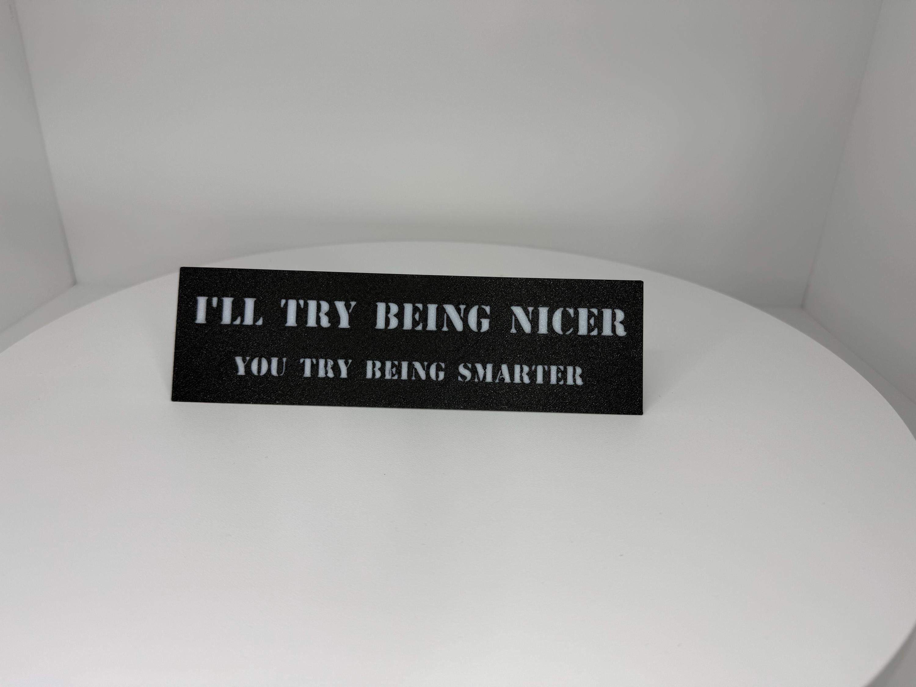 Funny Desk Plaque – “I’ll Try Being Nicer, You Try Being Smarter” – Sarcastic Office Decor, Gag Gift, Coworker Humor