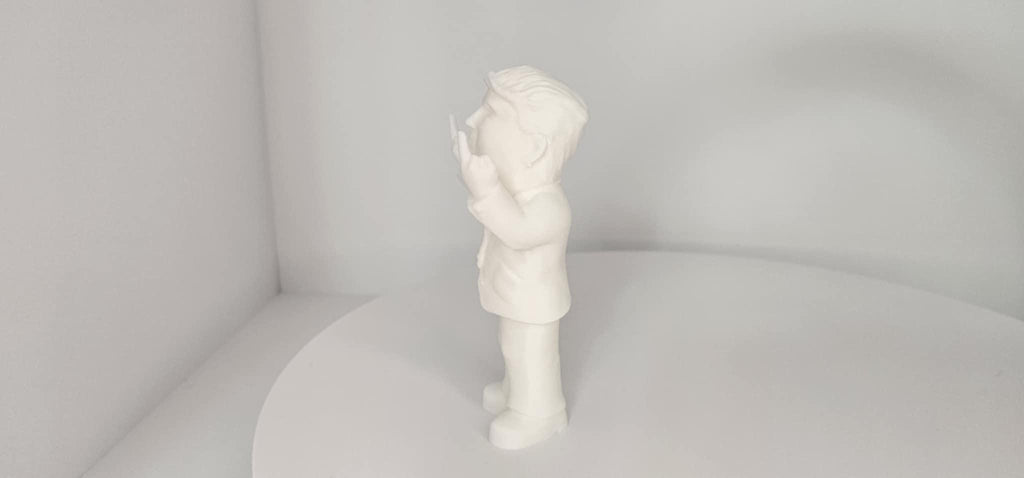 Donald Trump Giving the Finger