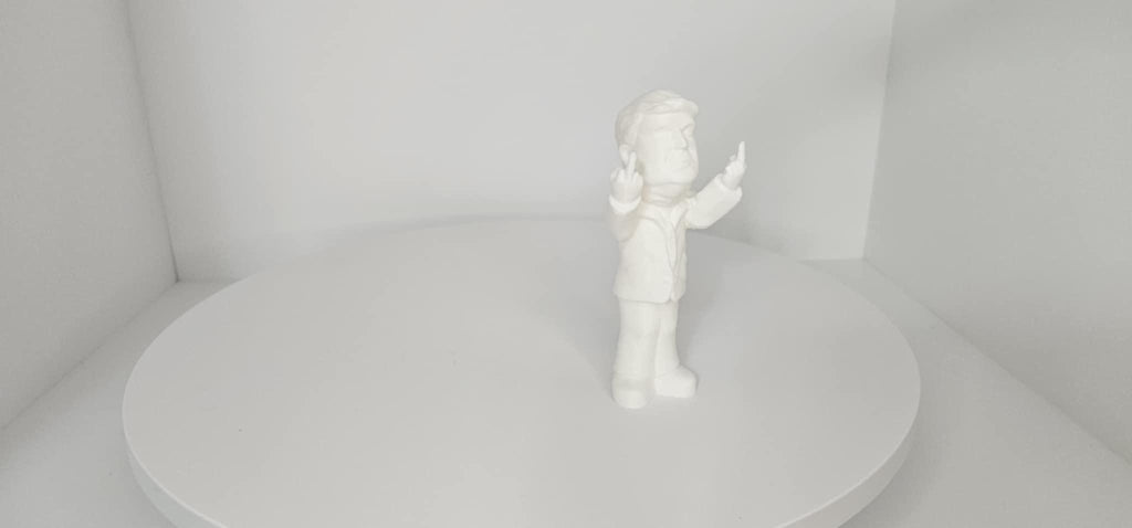 Donald Trump Giving the Finger