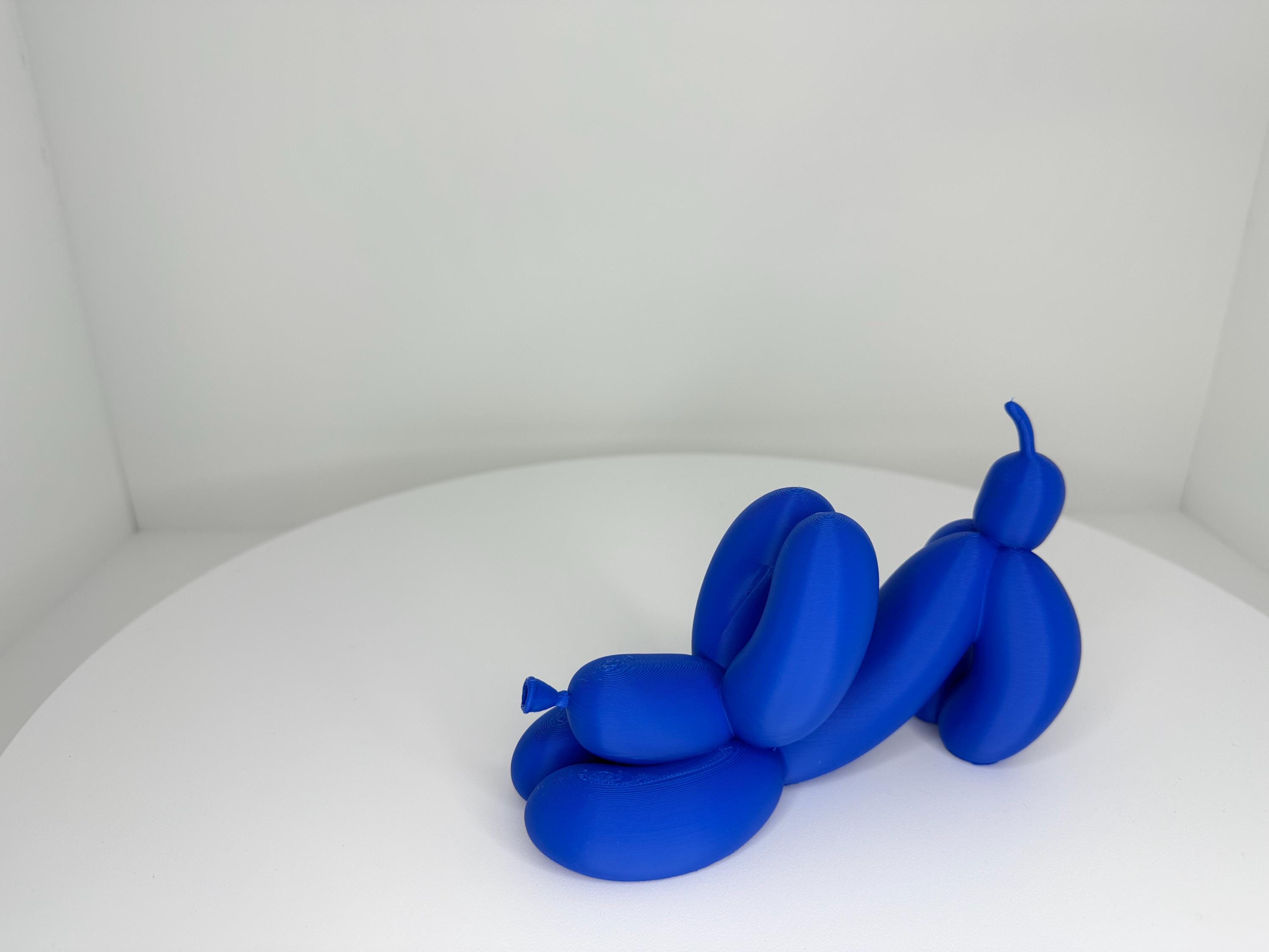 Balloon Dog Downward Dog Pose