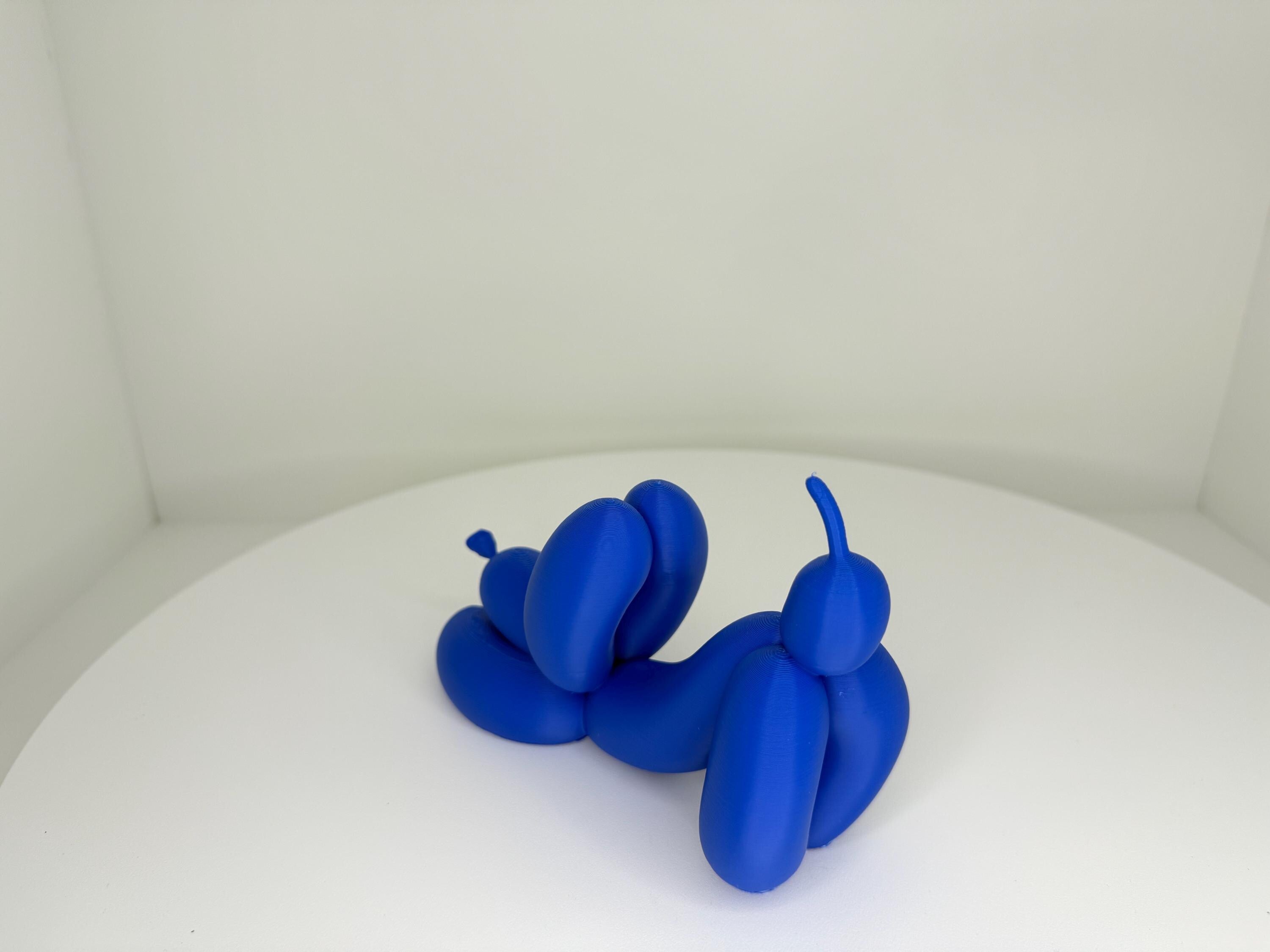 Balloon Dog Downward Dog Pose