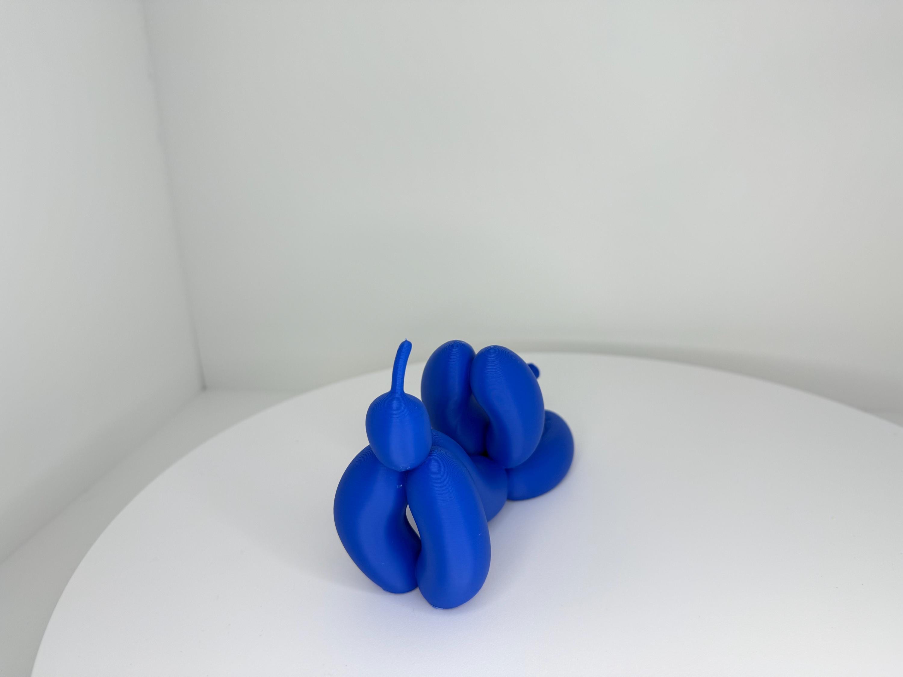 Balloon Dog Downward Dog Pose