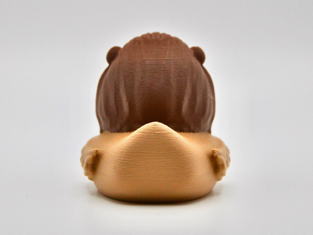 Lion Duck