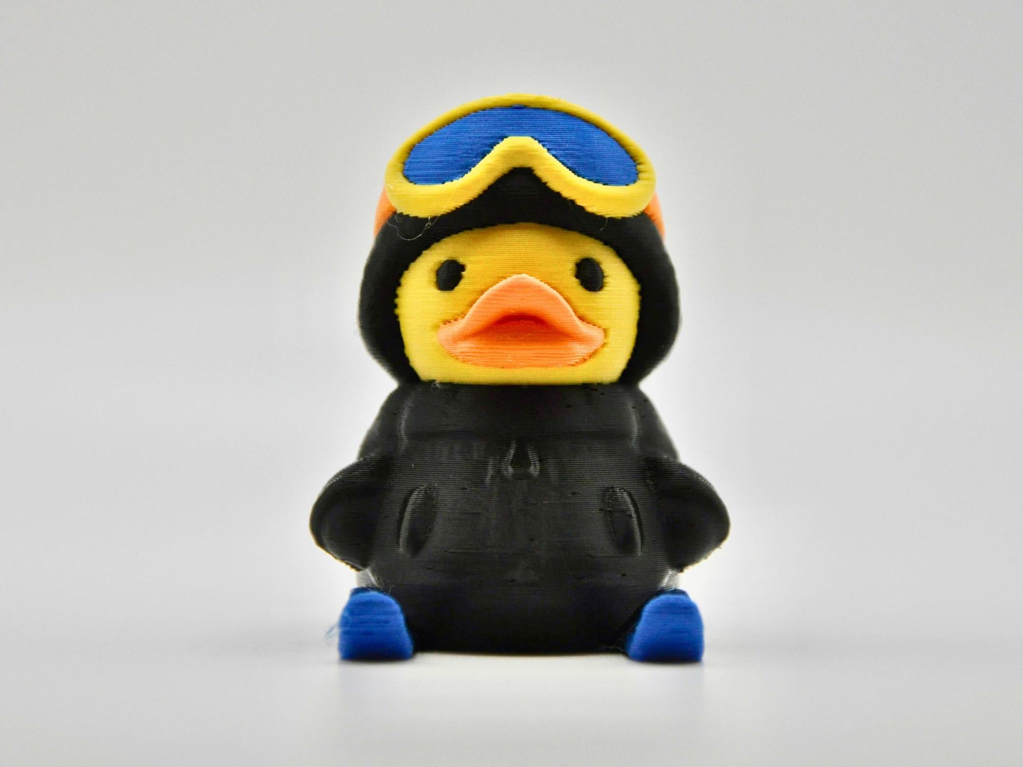 Ski Duck