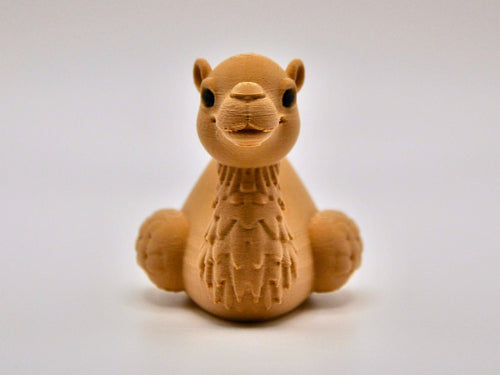 Camel Duck