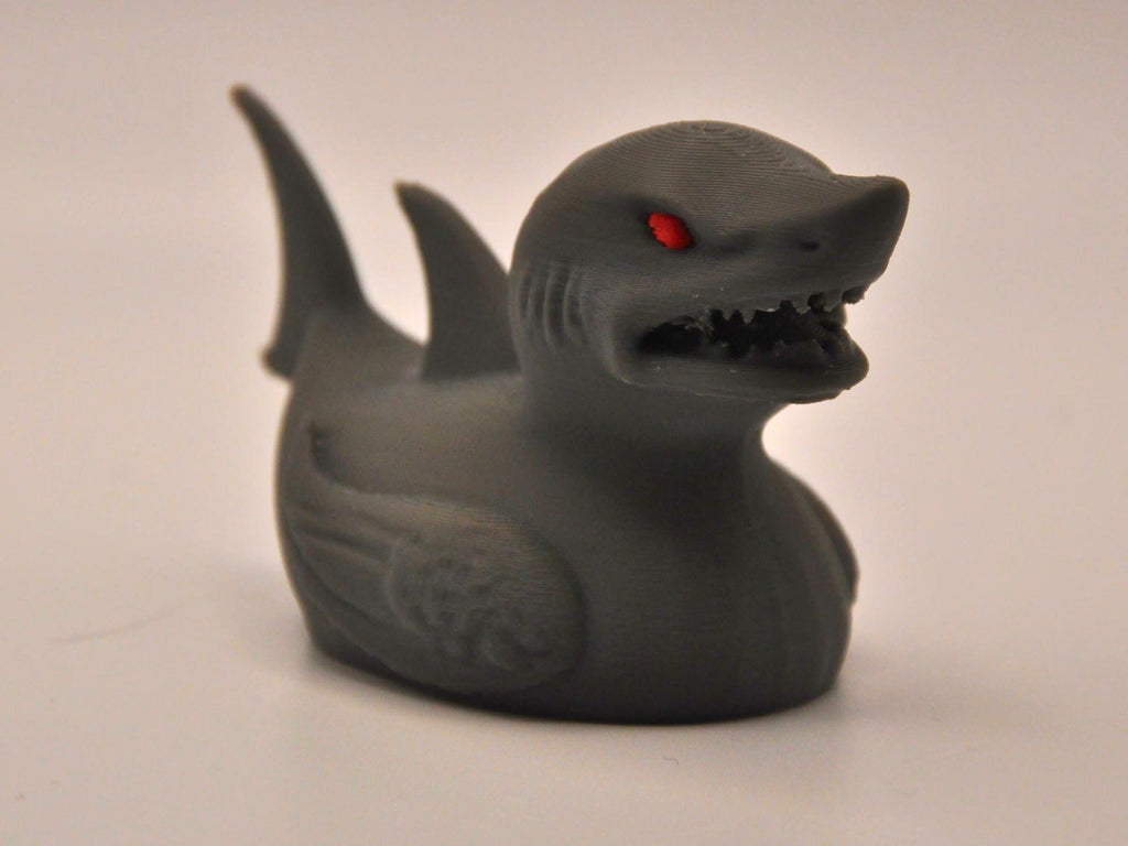 Shark Duck