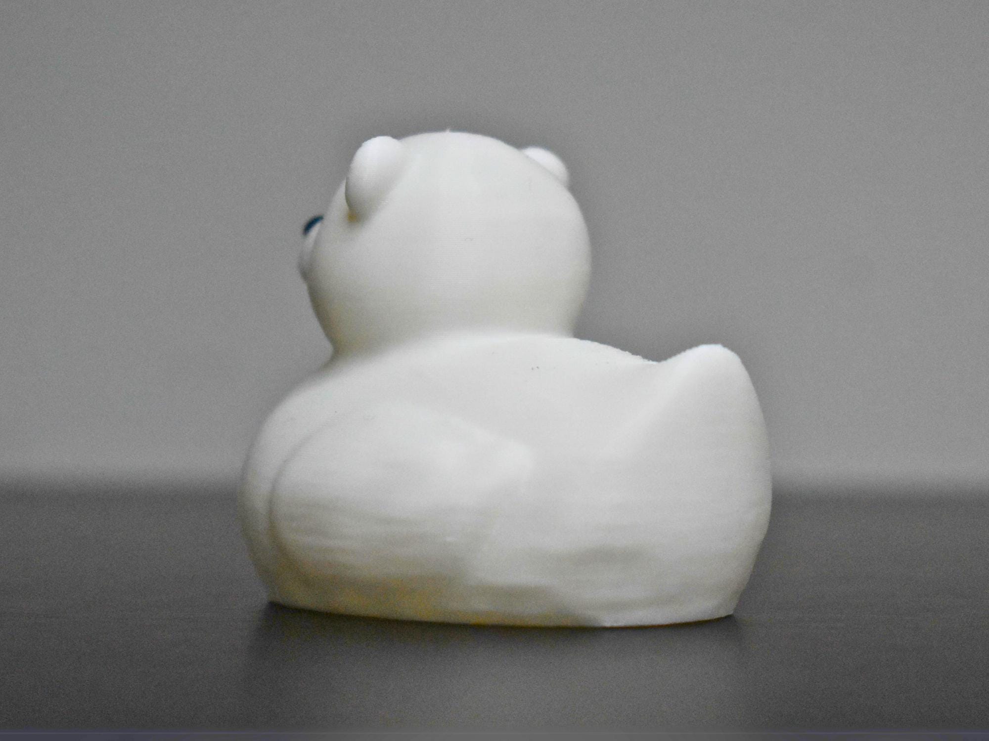 Polar Bear Duck