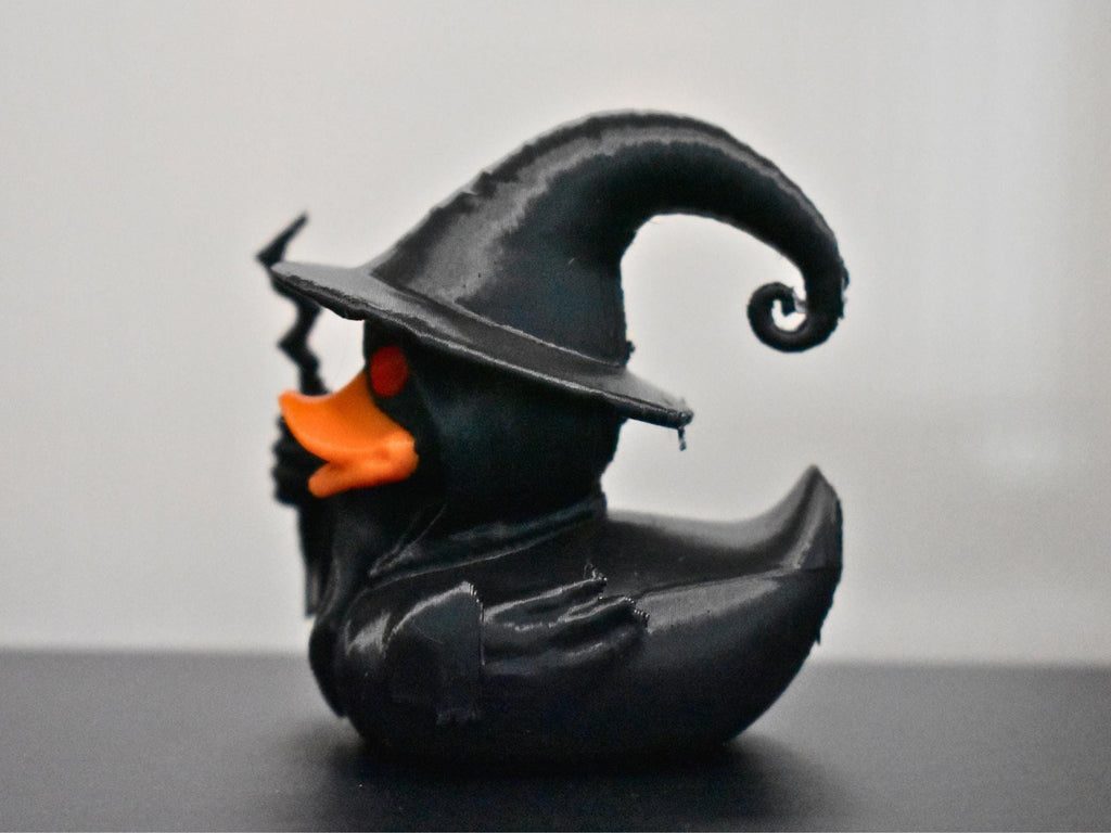 Wizard Duck