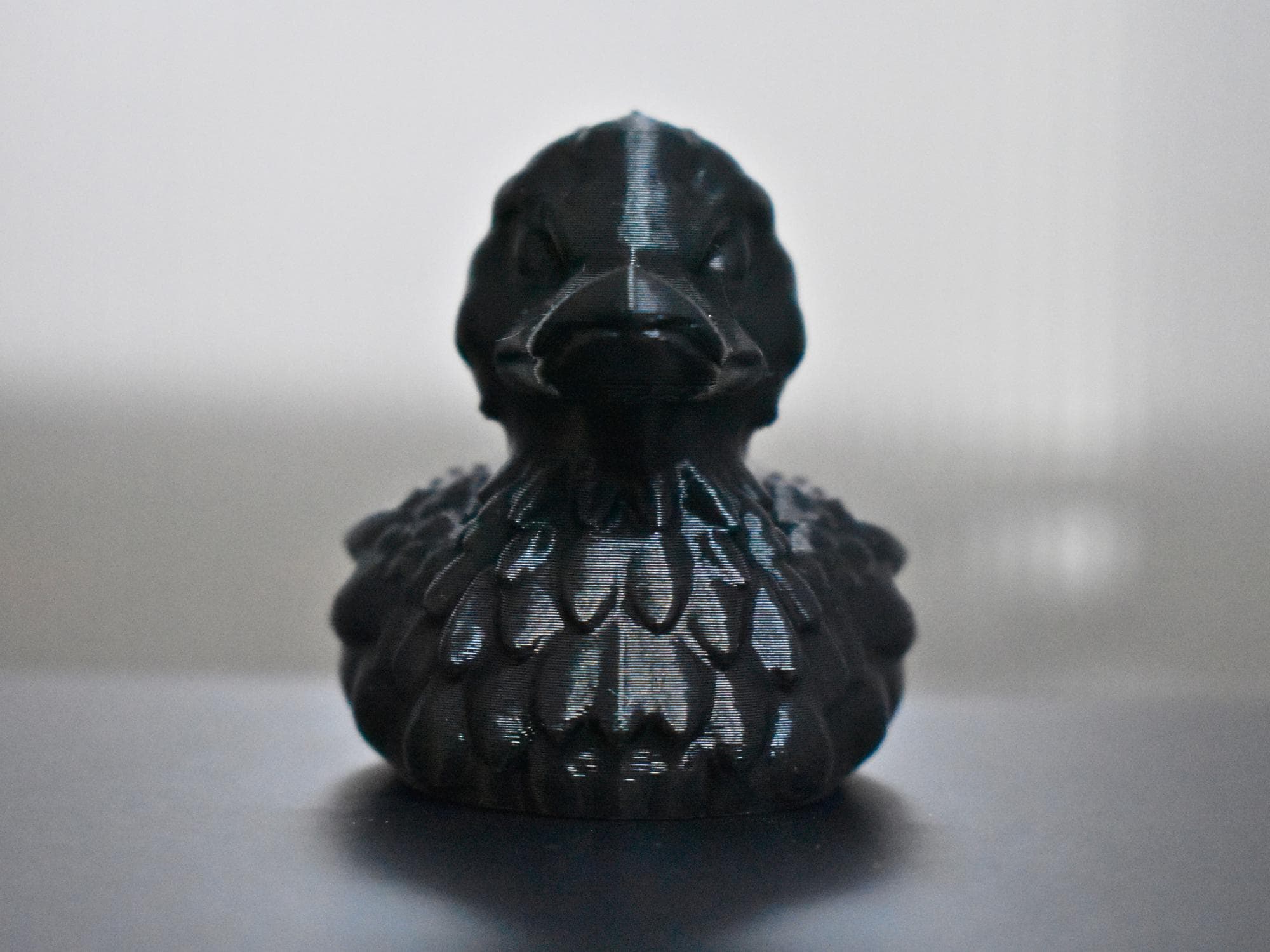 Black Raven Duck