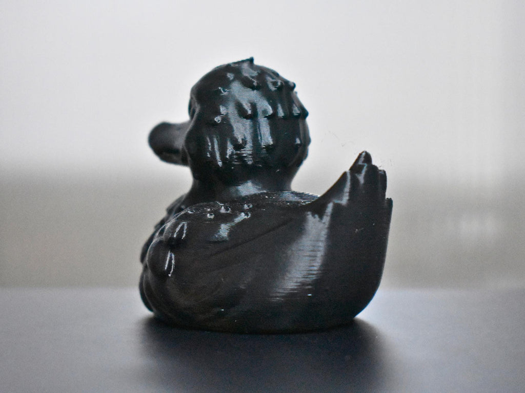 Black Raven Duck
