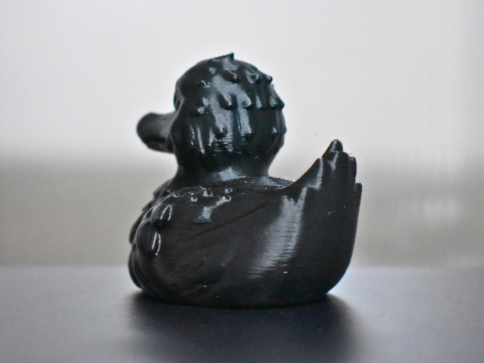 Black Raven Duck