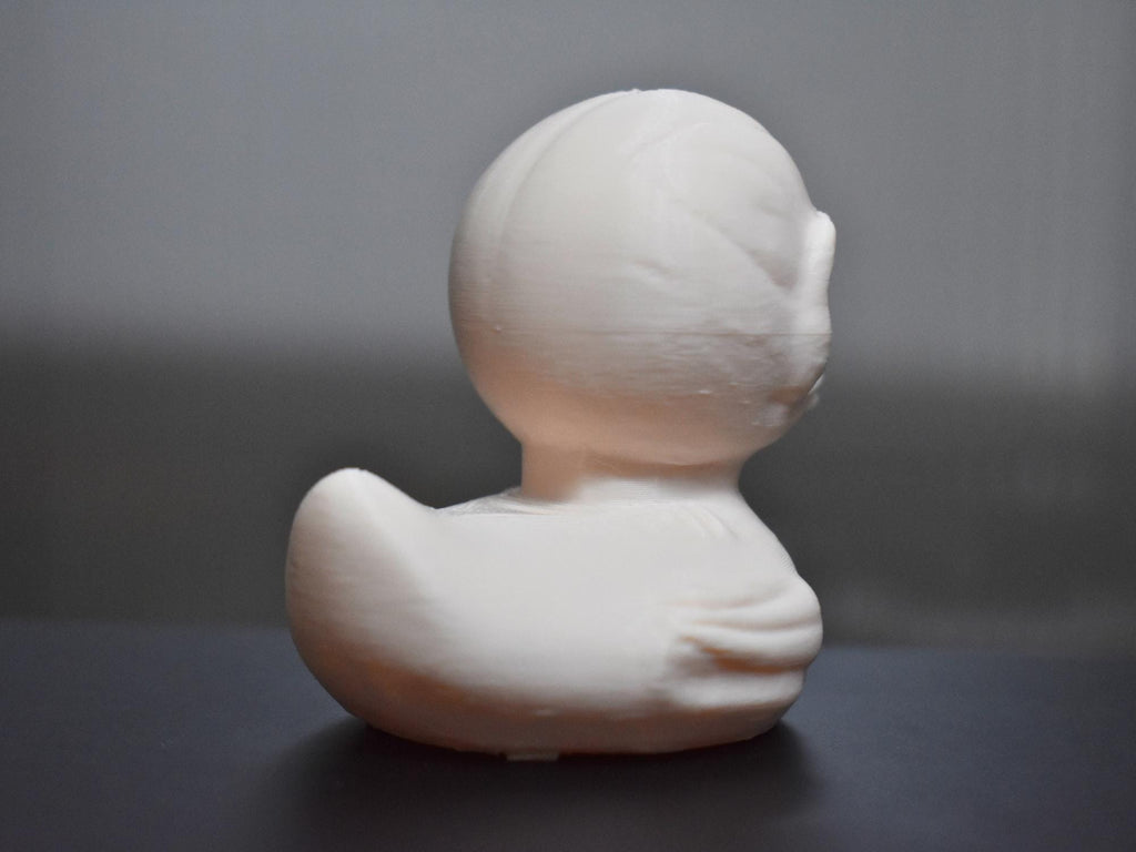 Skinned Creature Duck