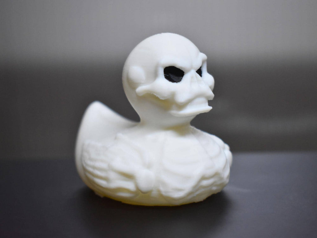 Skeleton Duck