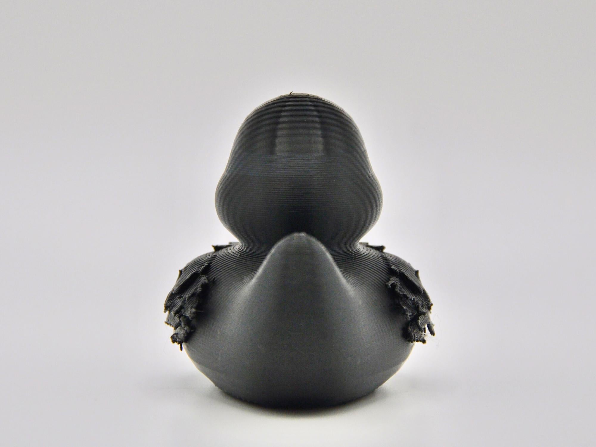 Wraith Duck
