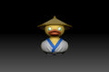Raquacken  Duck