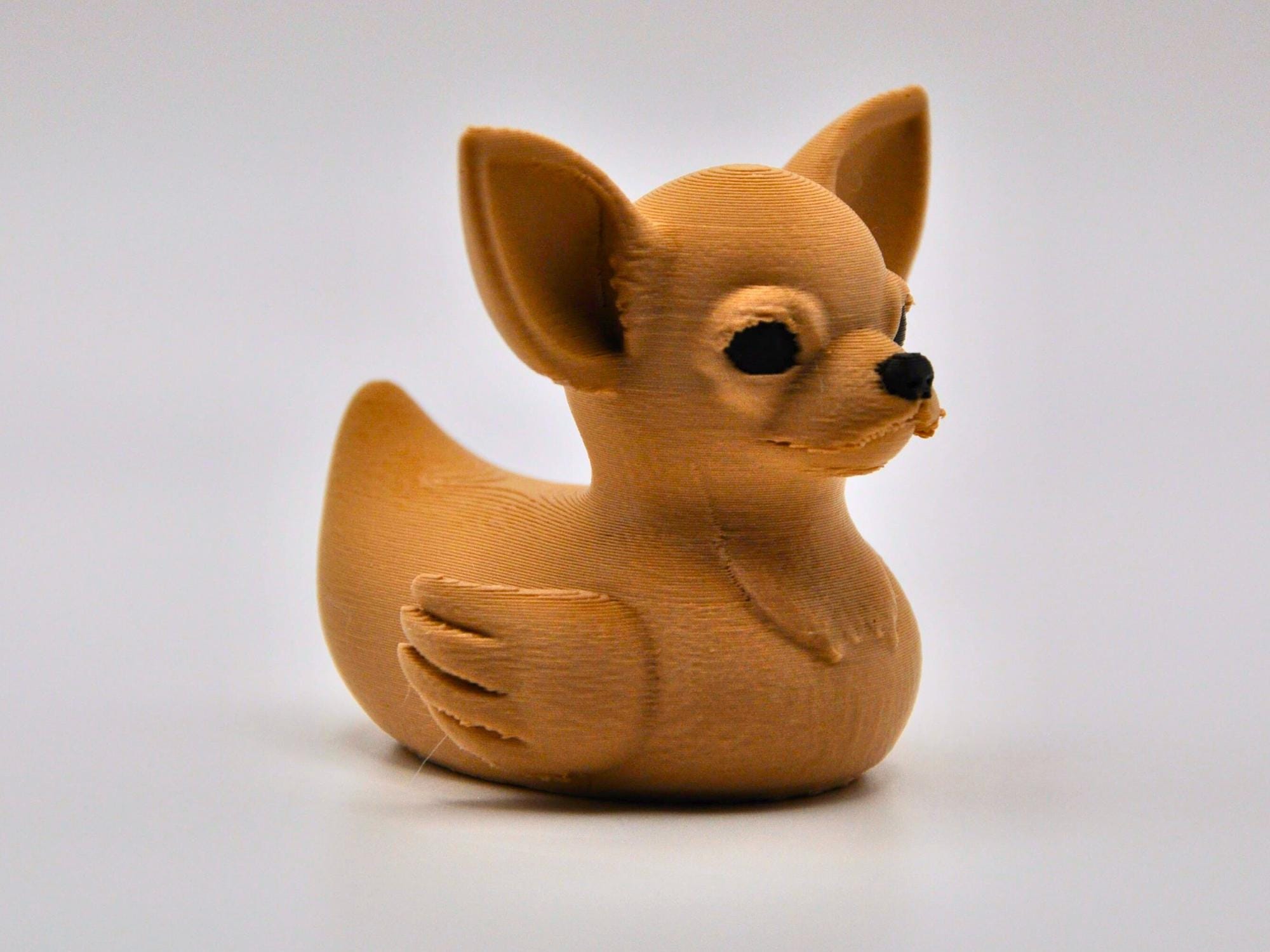 Chihuahua Duck