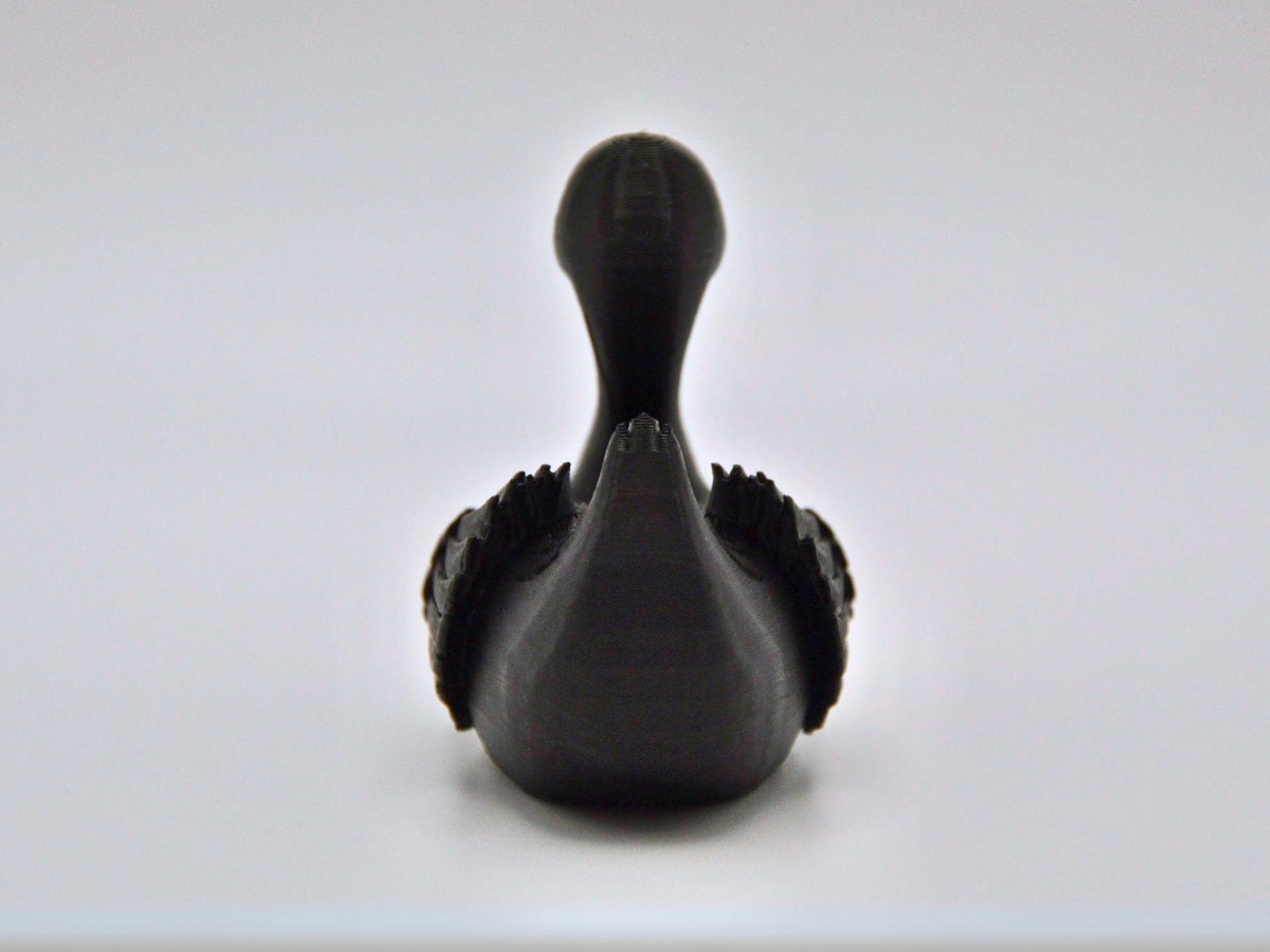 Black Swan Duck
