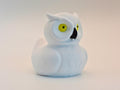 Owl Duck