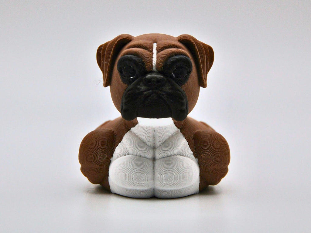 Boxer Duck