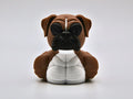 Boxer Duck
