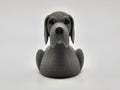 Great Dane Duck