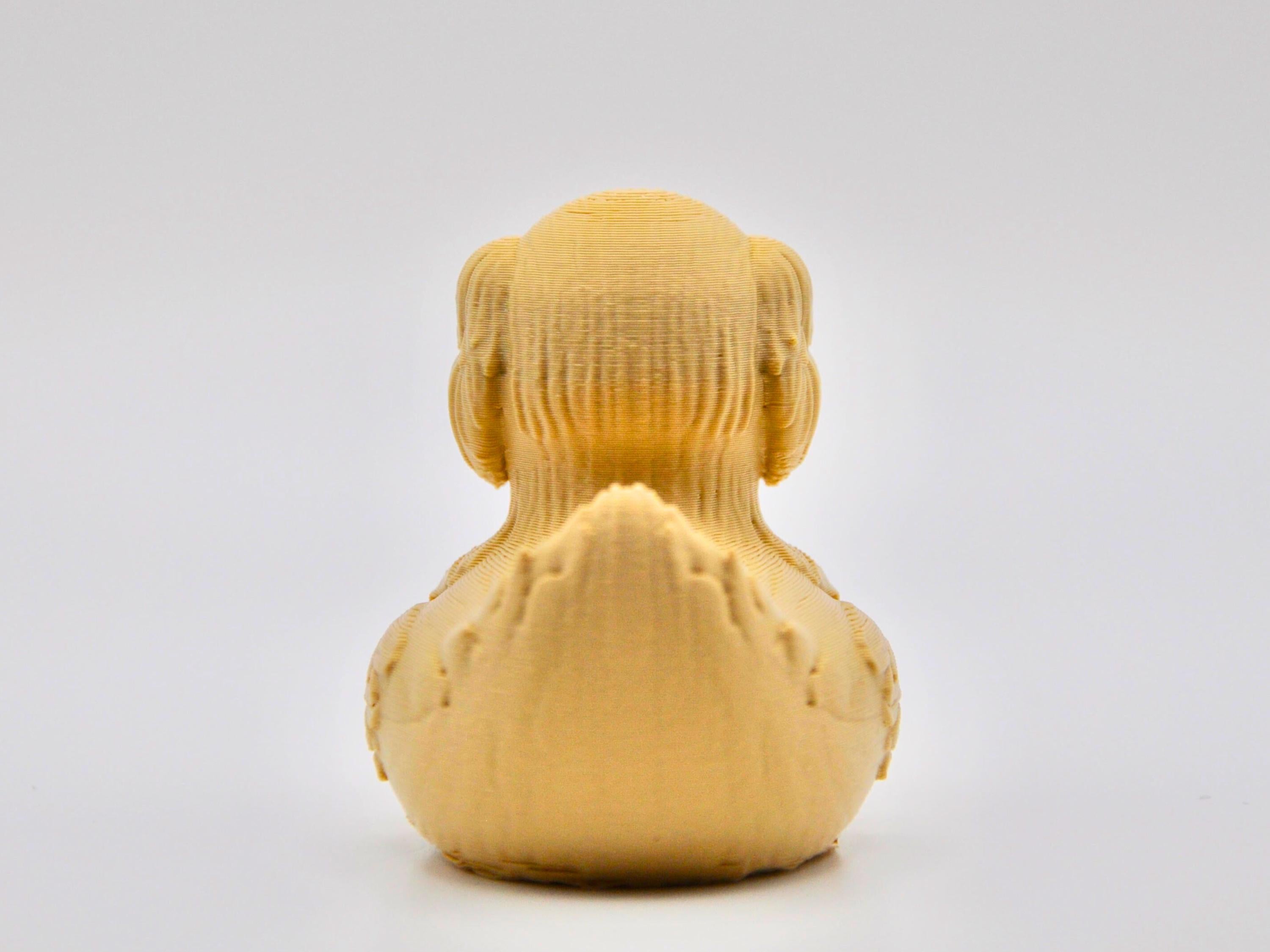 Golden Retriever Duck