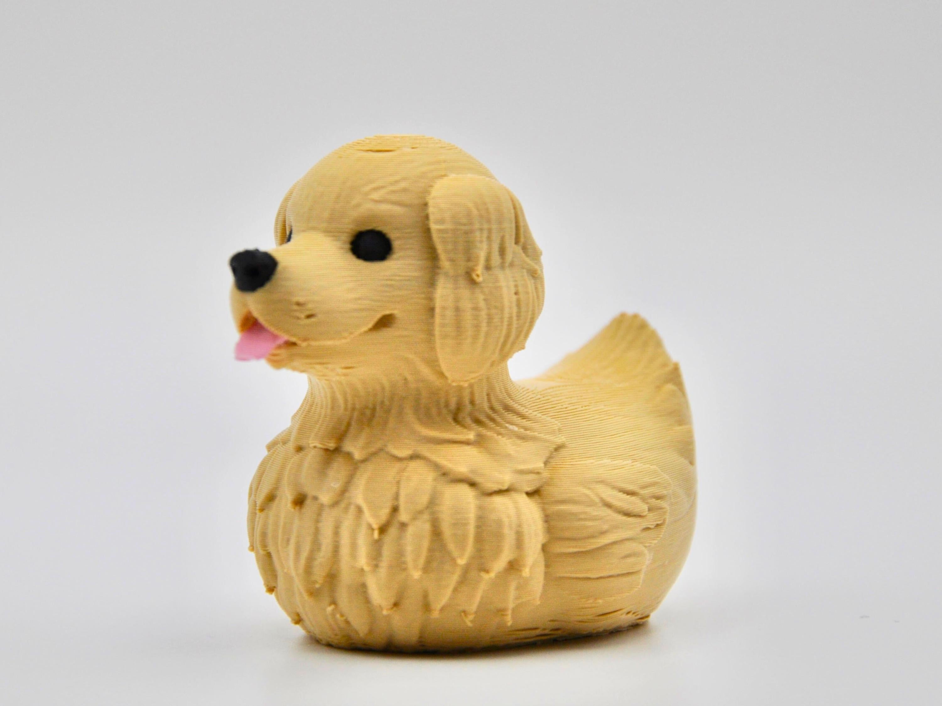 Golden Retriever Duck