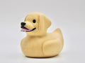 Labrador Duck